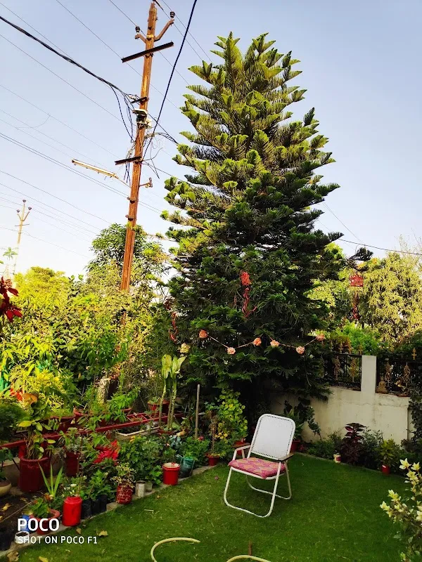 Sanjeevani Yoga Kendra