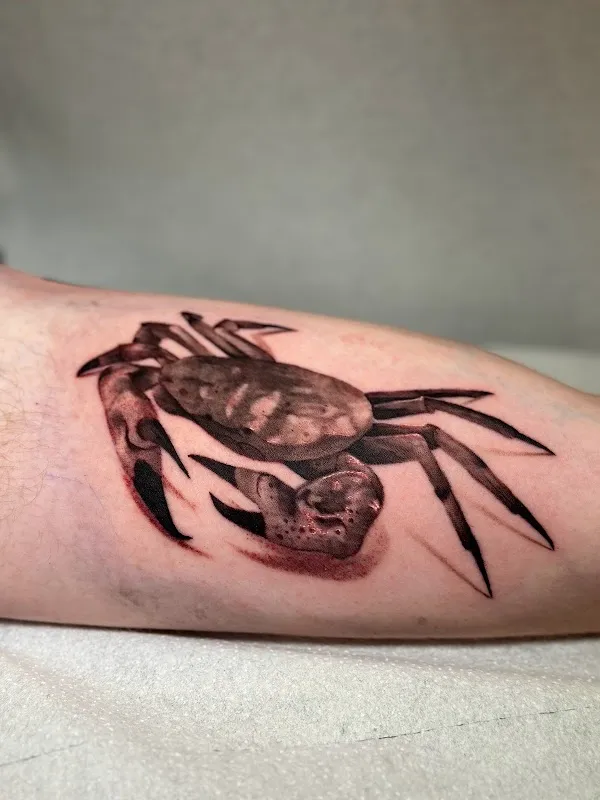 Puerto Ink - Tattoo & Piercings Studio Antwerp