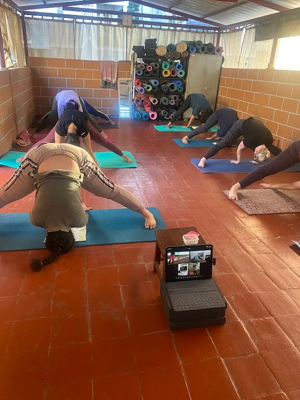 Stay Fit with Yoga