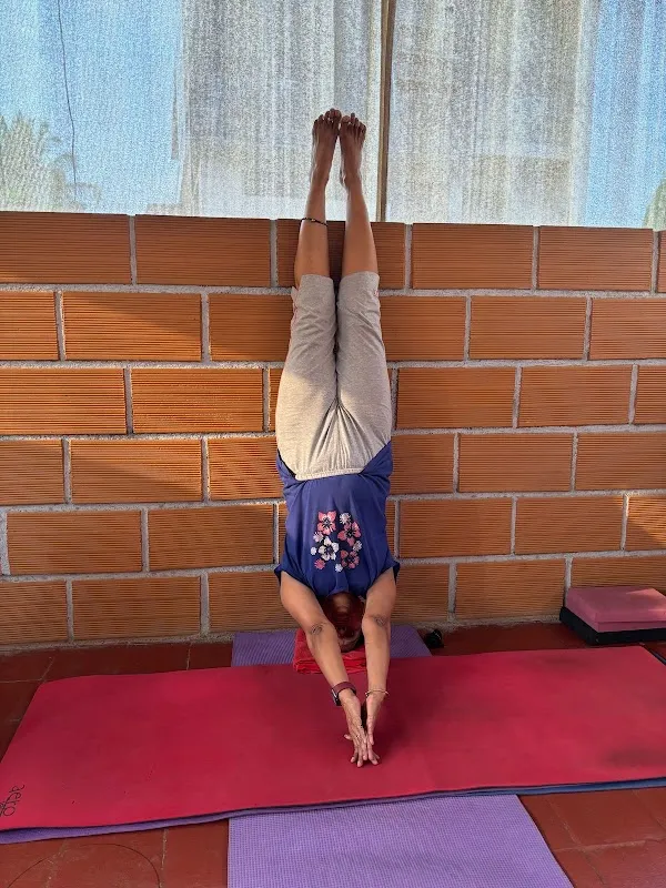Stay Fit with Yoga