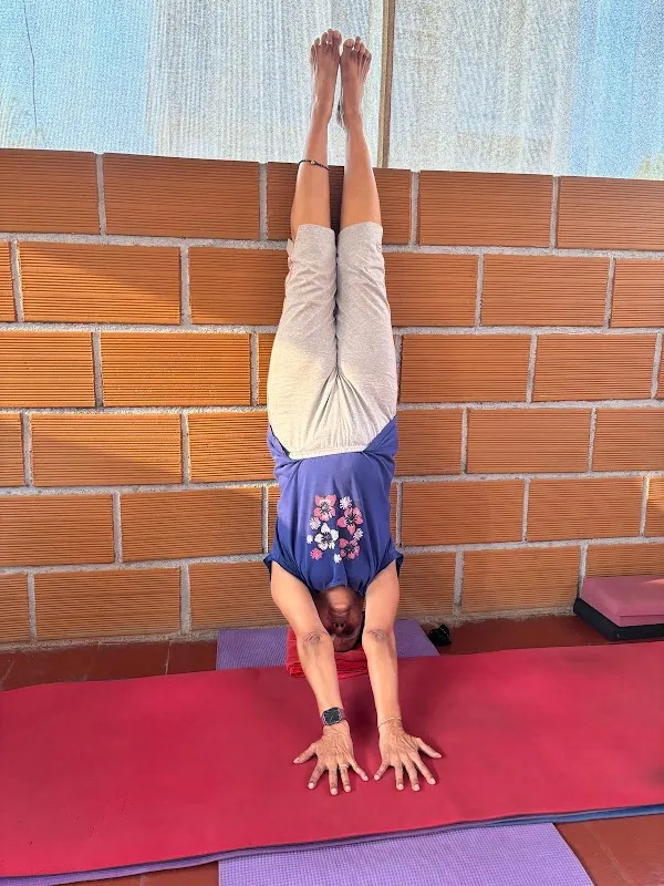 Stay Fit with Yoga