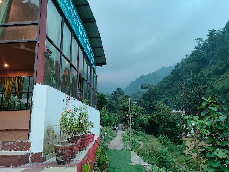 Rishikesh Vinyasa Yoga School - Yoga Teacher Training Rishikesh India
