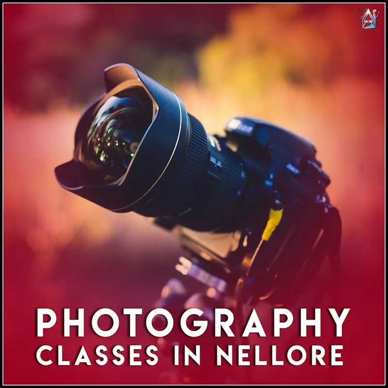 A Multimedia - School of Animation and Visual Effects
