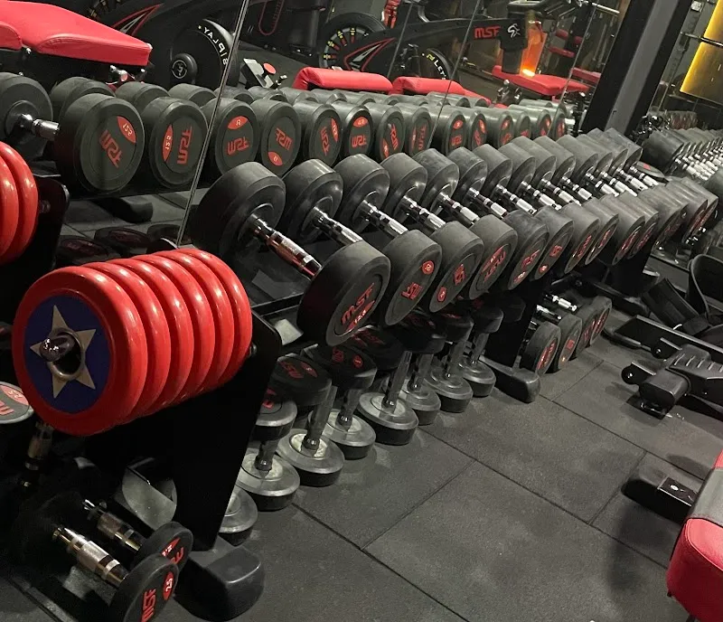 HOUSE OF FITNESS