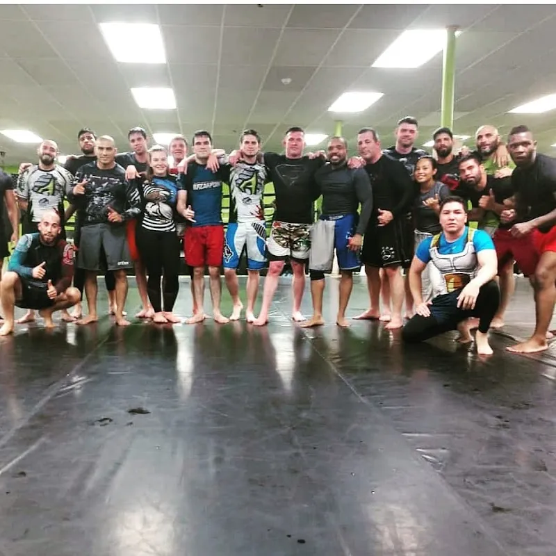 Animals MMA Yonkers