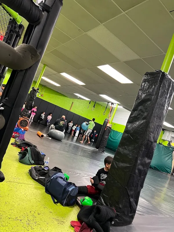 Animals MMA Yonkers