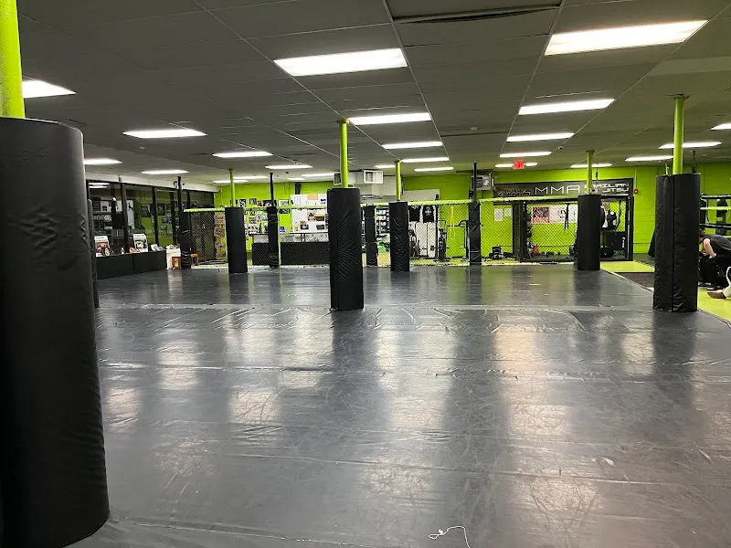 Animals MMA Yonkers