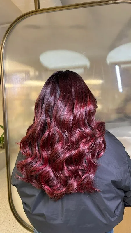 NYC SALON