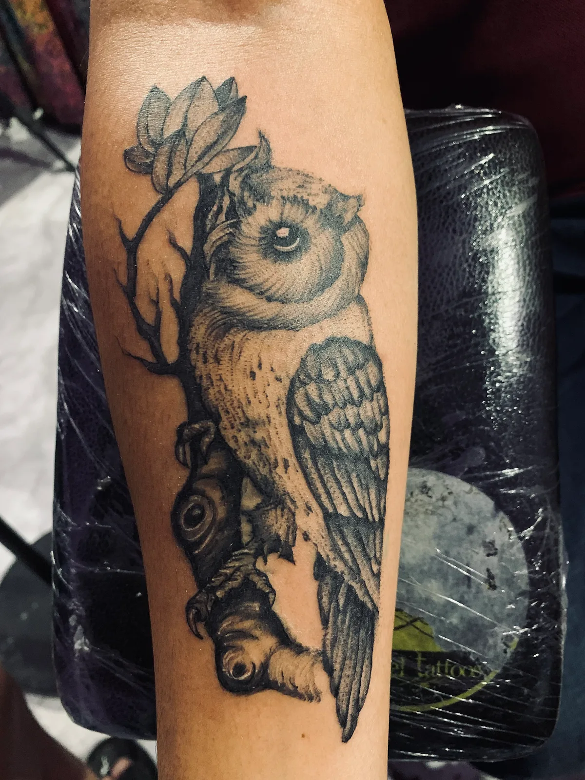 Raphael Tattoos shillong