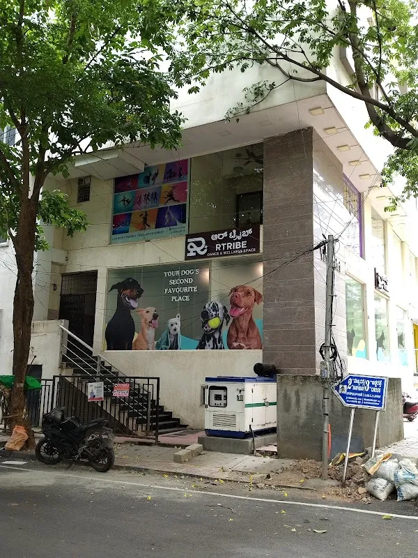 RTribe Dance and Wellness Space