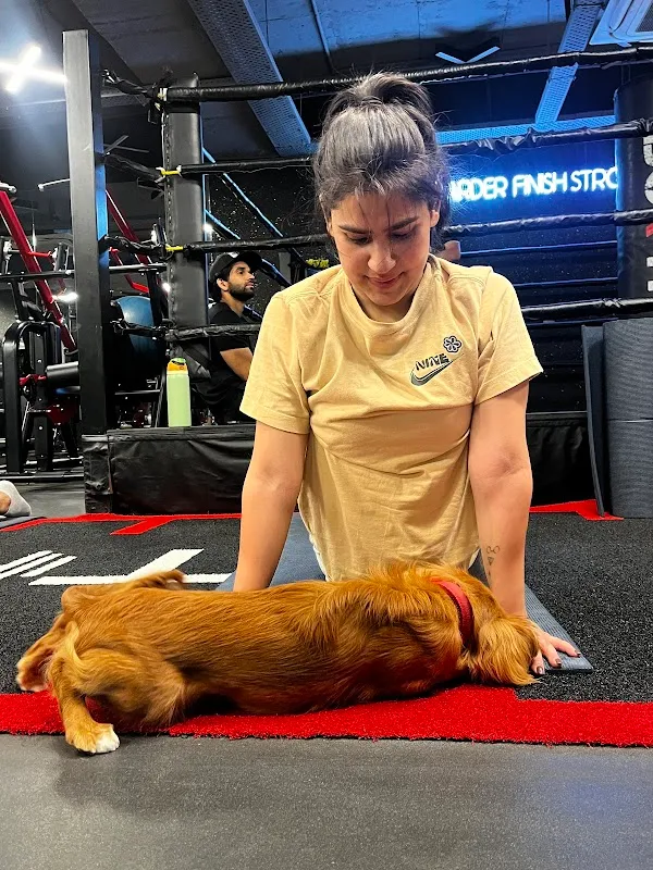BoxFit Def Col