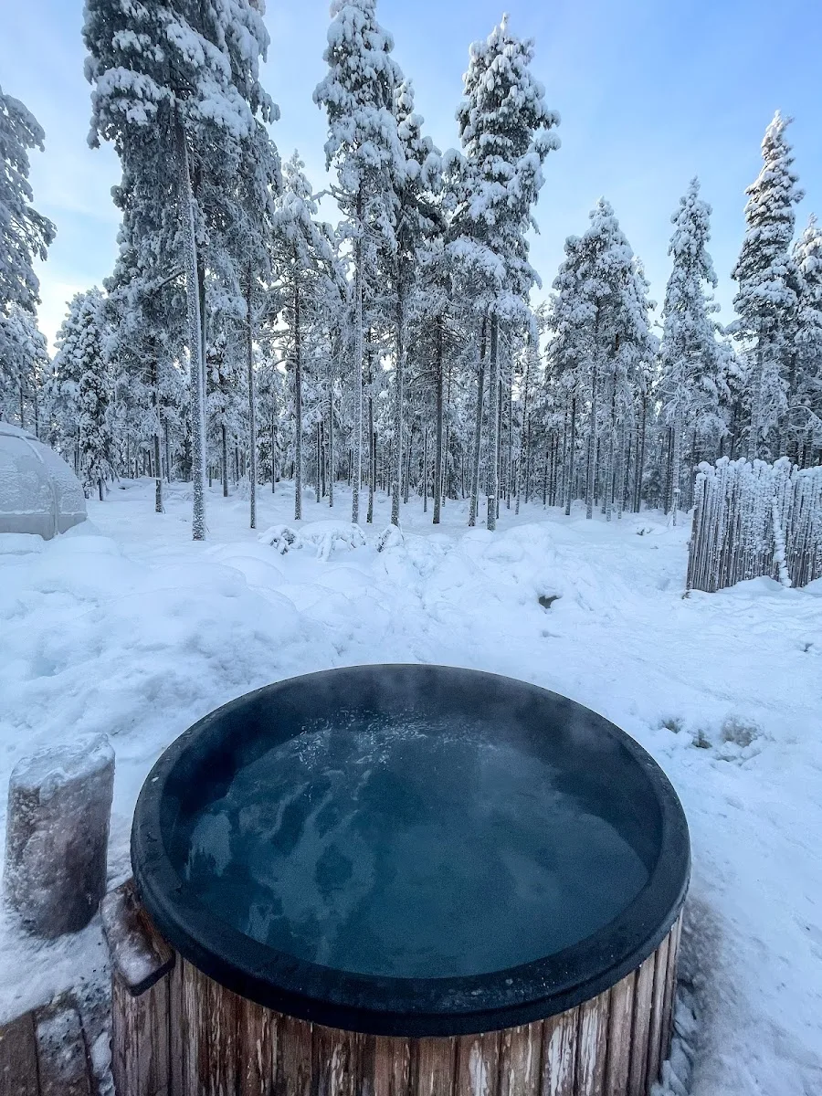 Invisible Forest Lodge