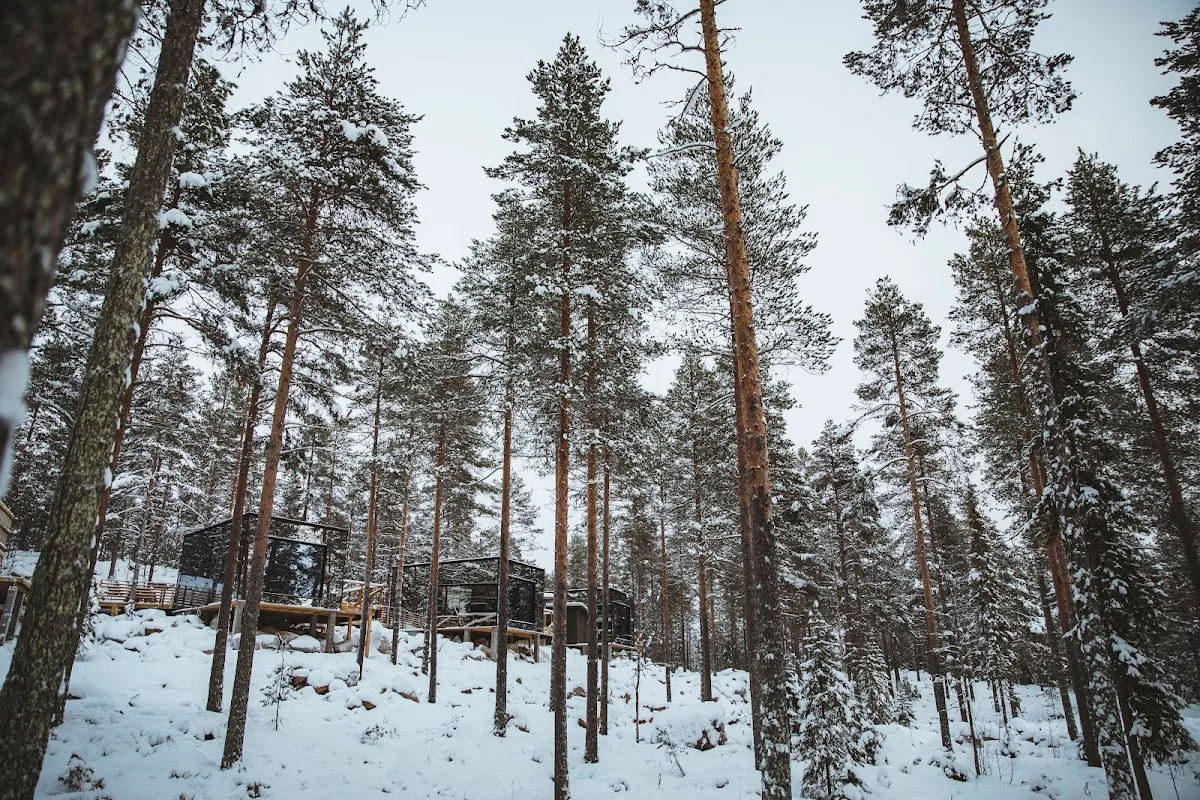 Invisible Forest Lodge
