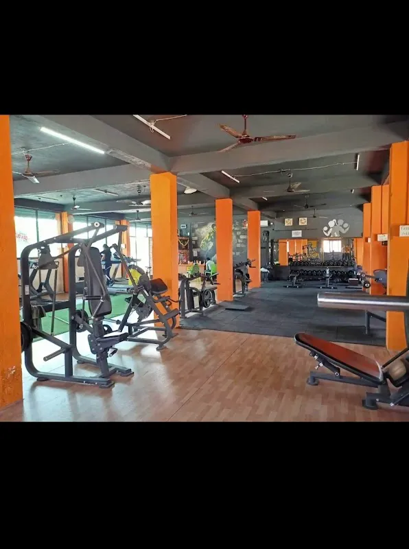 B Professional Fitness