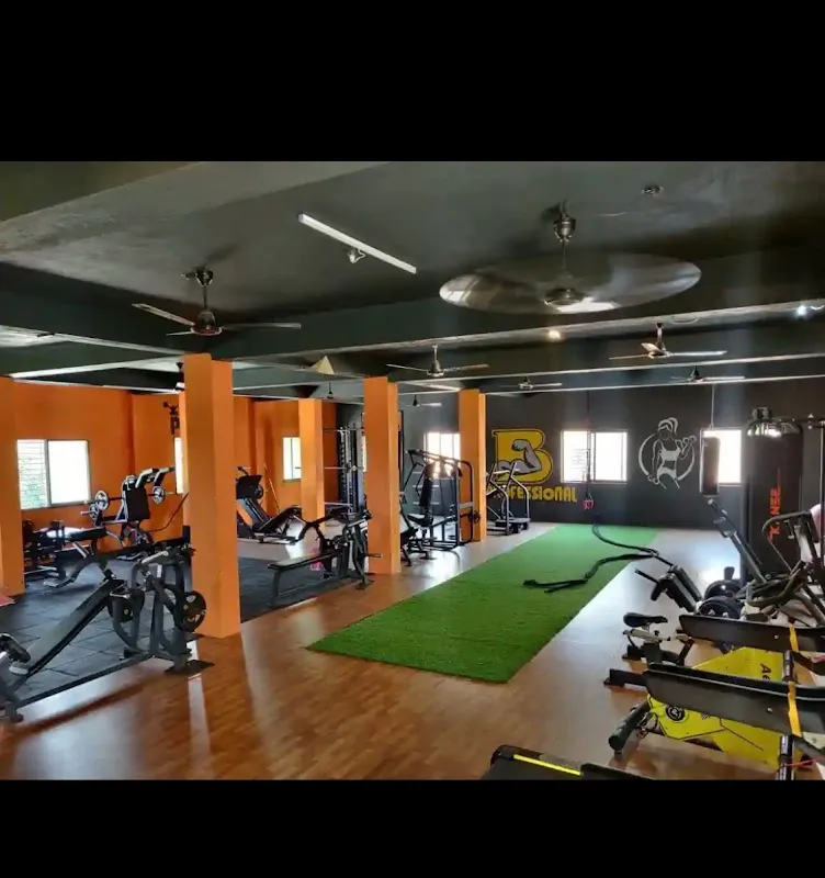 B Professional Fitness