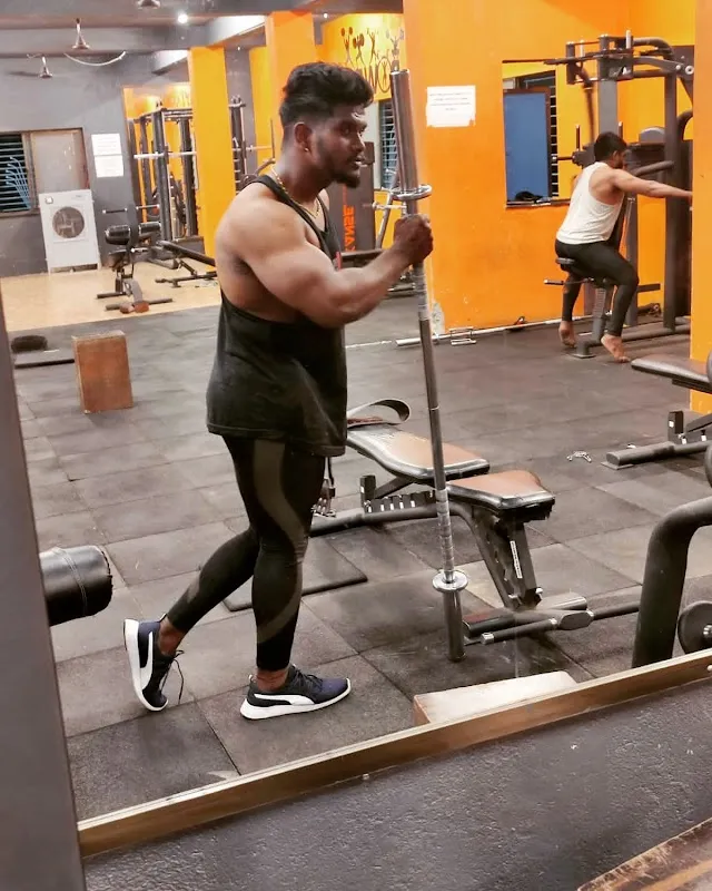 B Professional Fitness