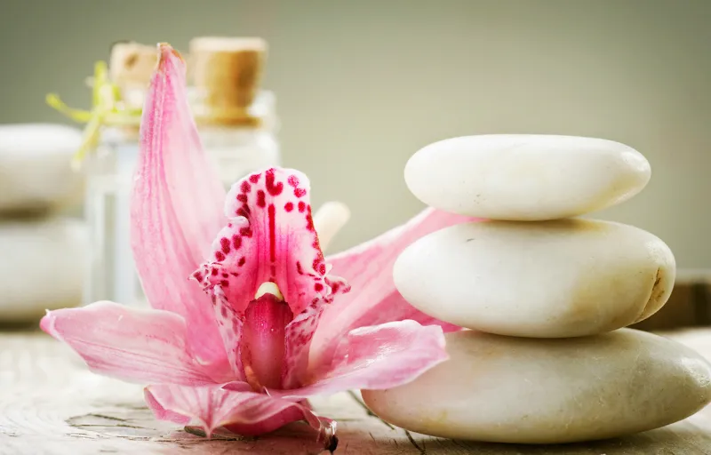 Winter Springs Beauty Salon