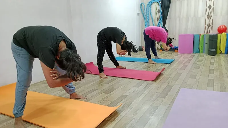Simples: The Fitness Studio