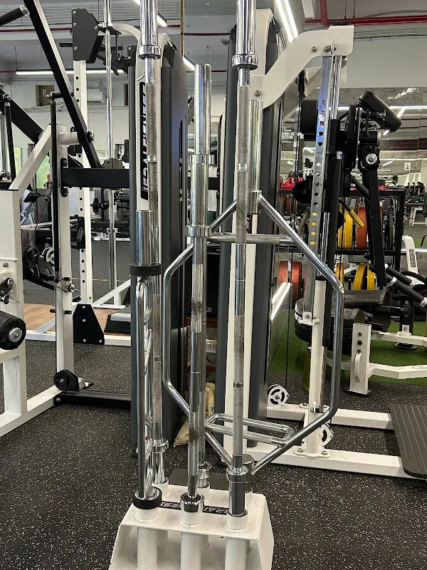 Mustangs Fitness Centre | Sanpada