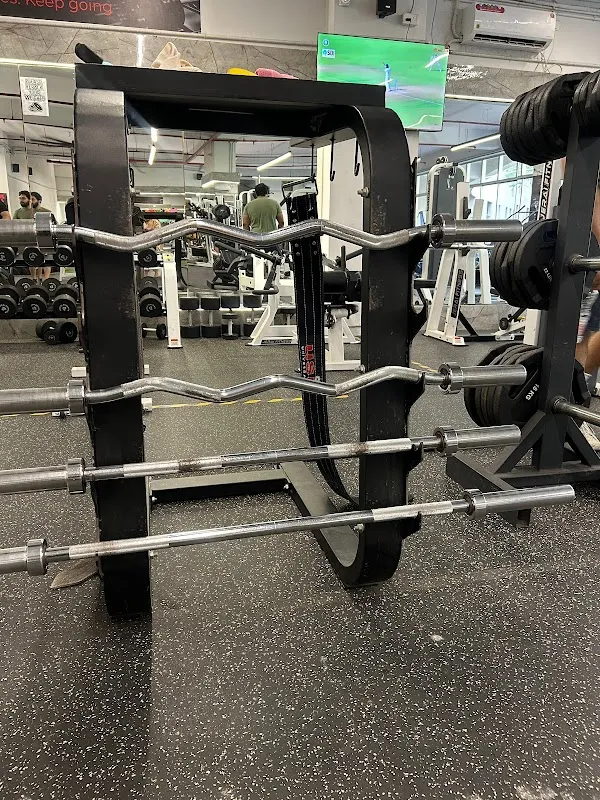 Mustangs Fitness Centre | Sanpada