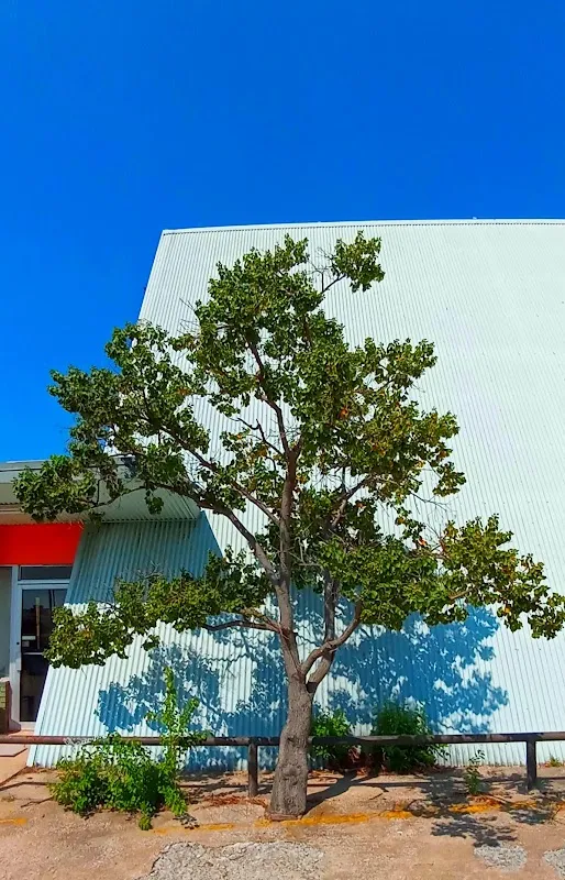 Studio Arts Dallas