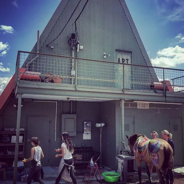 Studio Arts Dallas
