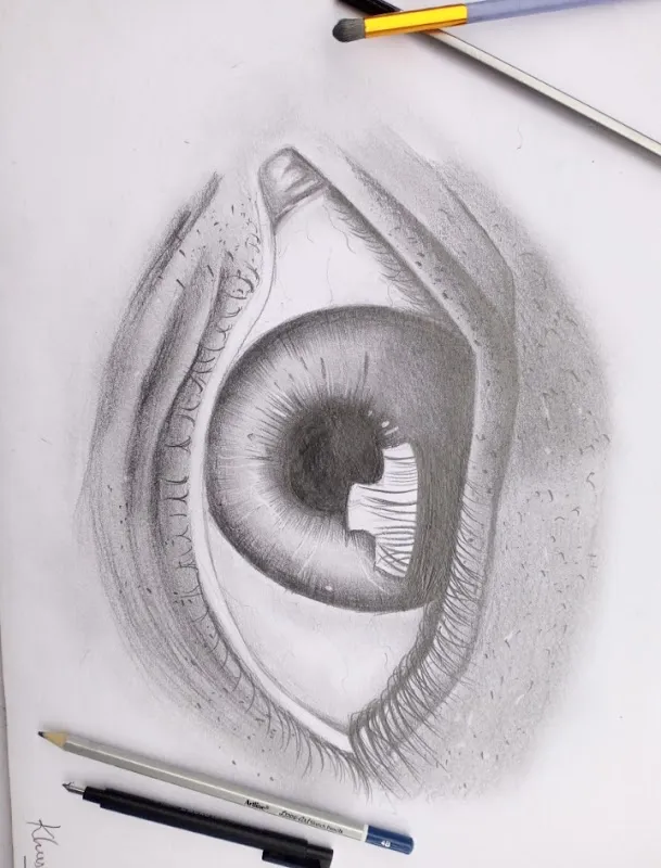 Lalit Kala Fine Art Academy