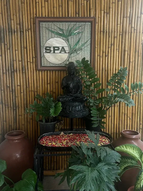 Space the spa