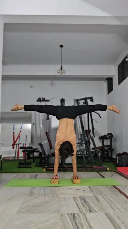 yoga 24 jaipur