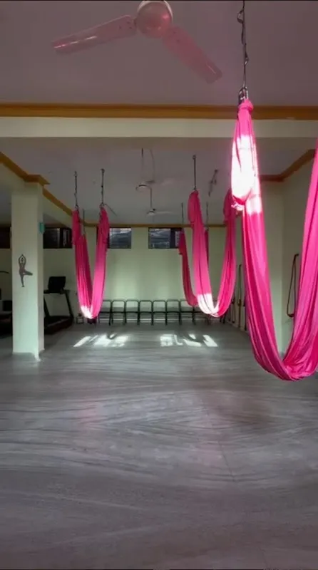 yoga 24 jaipur