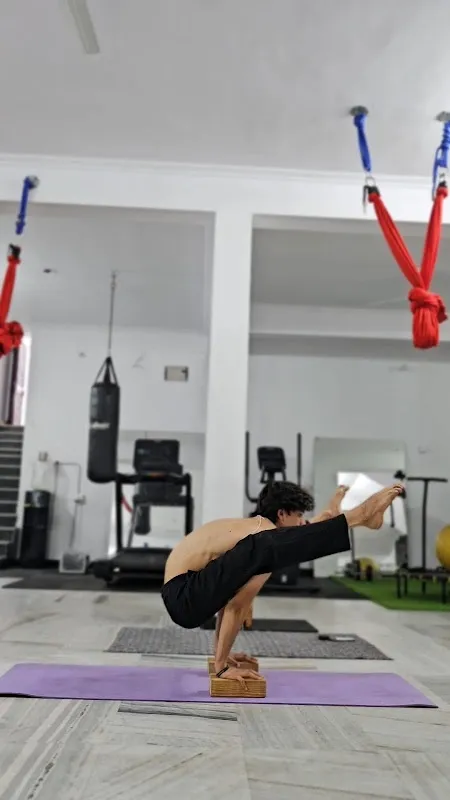 yoga 24 jaipur