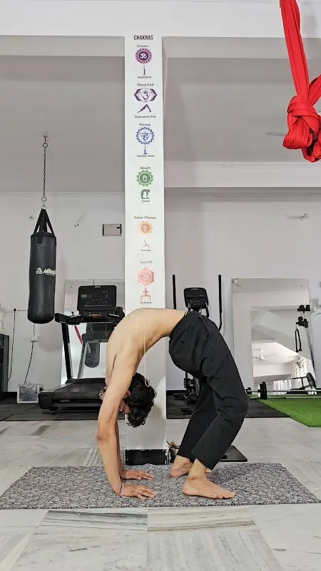 yoga 24 jaipur