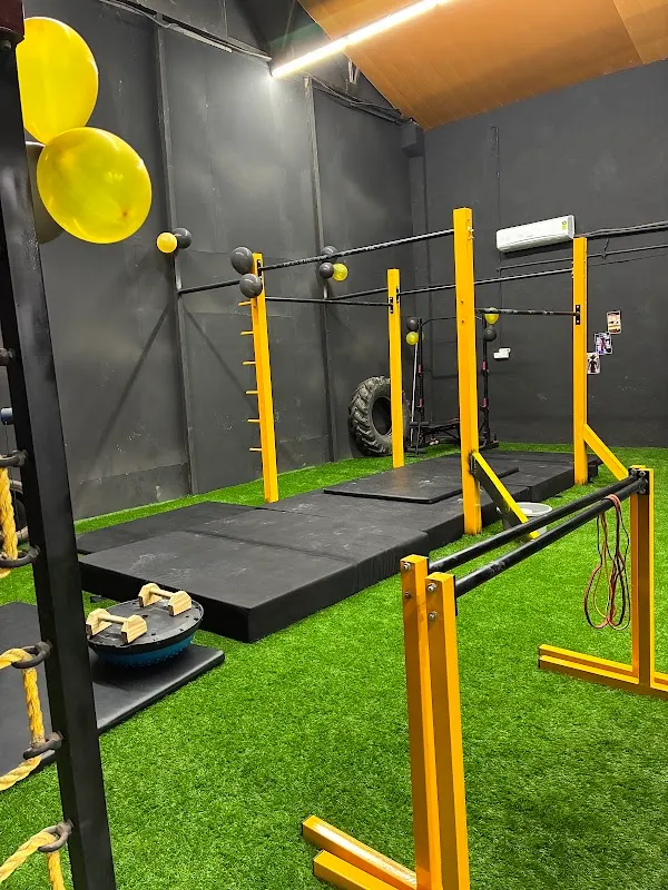 Fitoholic Raw Fitness Studio: Calisthenics x Yoga