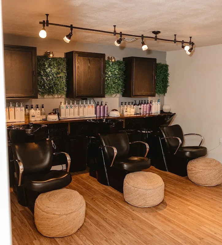 Wild Roots Hair Co