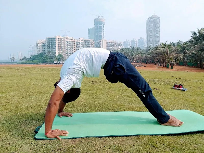 Rajendra yoga classes