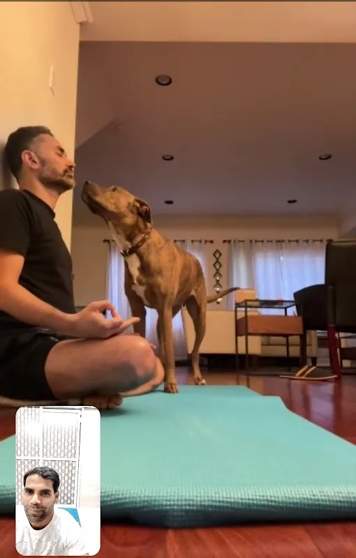 Rajendra yoga classes
