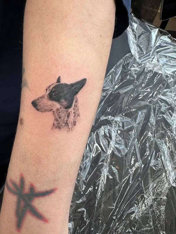 Giza Tattoo Studio NYC