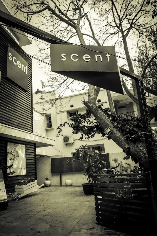 Scent Salon | Lavelle Road