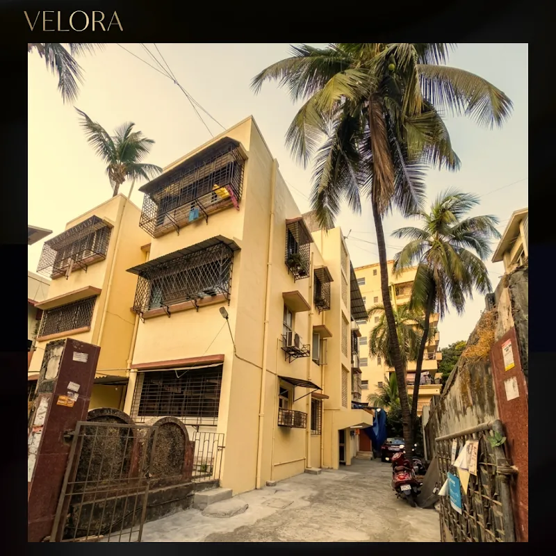 Velora Studios