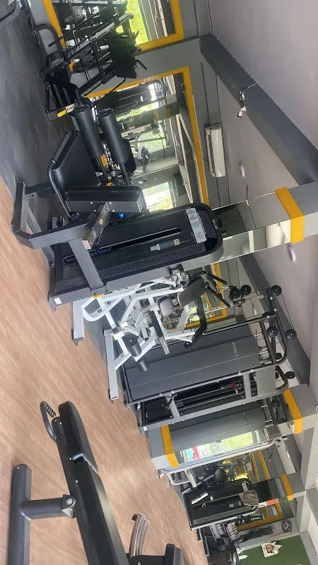 The Perfect Gym