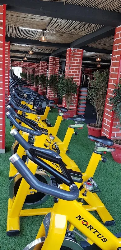 Empire Of Fitness, Phase 3