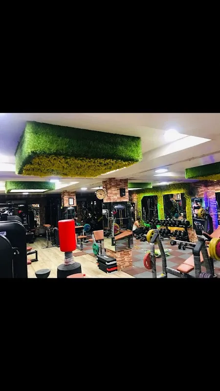 Royal Gym By Tandon's | Top 10 Gyms In Ludhiana | Best Gym For Girl's