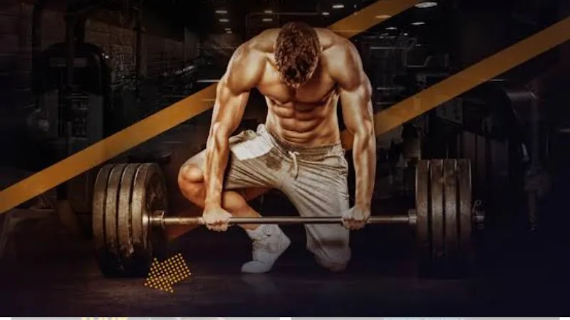 Royal Gym By Tandon's | Top 10 Gyms In Ludhiana | Best Gym For Girl's