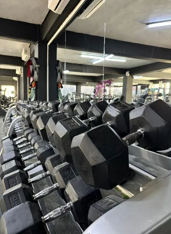 Drive fit gym