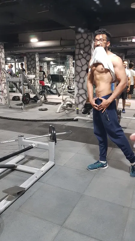 The Gym Nation