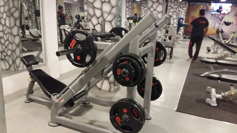 The Gym Nation