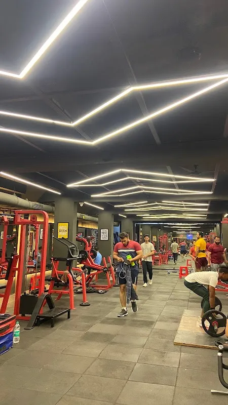 The Gym Nation
