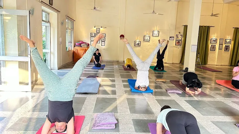 Sivananda Yogalife