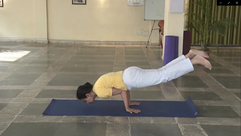 Sivananda Yogalife