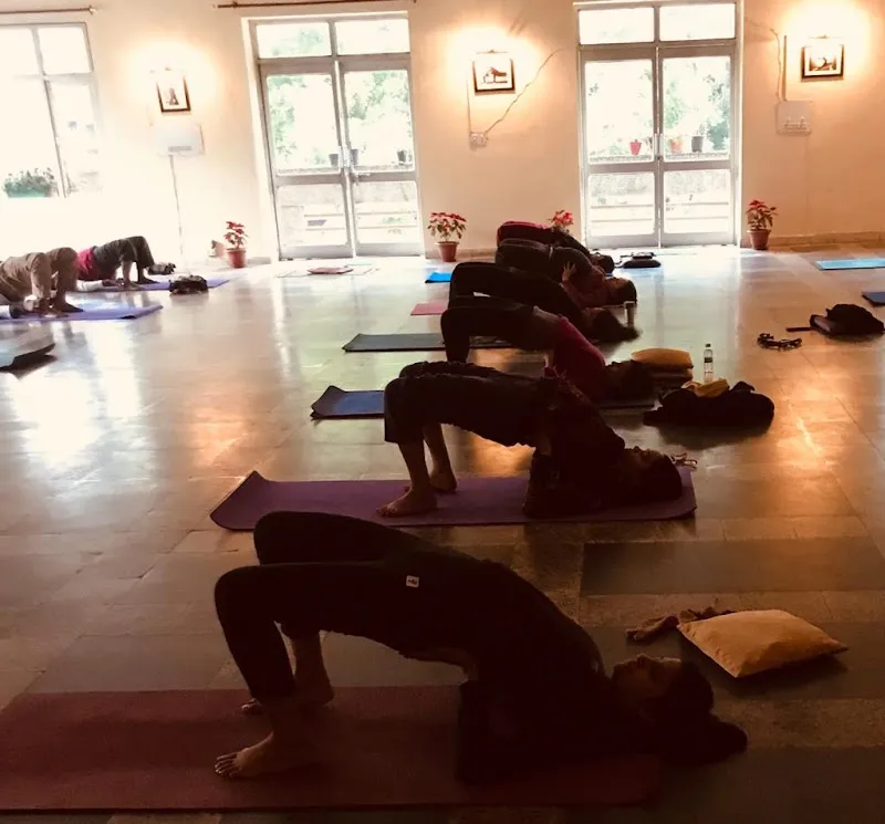 Sivananda Yogalife